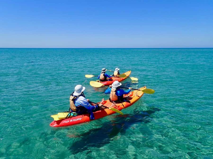 Exmouth: Half Day Turtle Kayak & Snorkel Tour - Final Thoughts