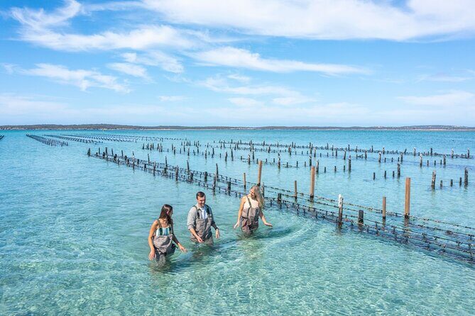 Experience Coffin Bay Oyster Farm and Bay Tour - Practical Details