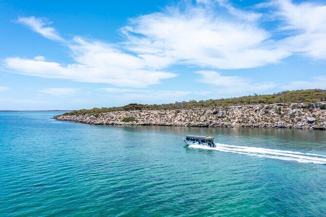 Experience Coffin Bay Short and Sweet Oyster Farm Tour - Who Should Consider This Tour?