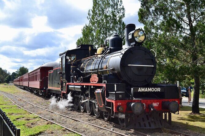 Experience History onboard The Mary Valley Rattler - Practical Tips Based on Reviews