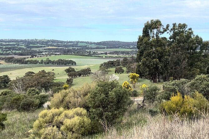 Experience SA Clare Valley Private Wine Tour - Exploring the Clare Valley with a Personal Touch