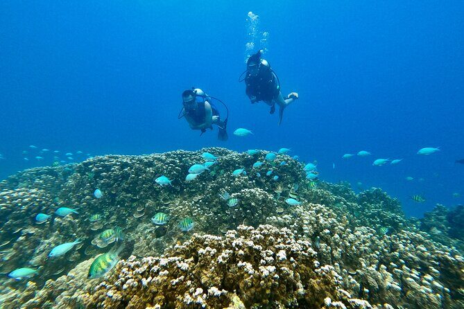 Experience Scuba Diving - No Certification Needed! - What to Expect from Your Guam Underwater Adventure
