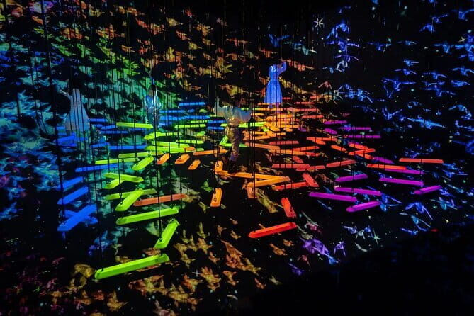 Experience TeamLab Planets in Tokyo - Is it worth the price?