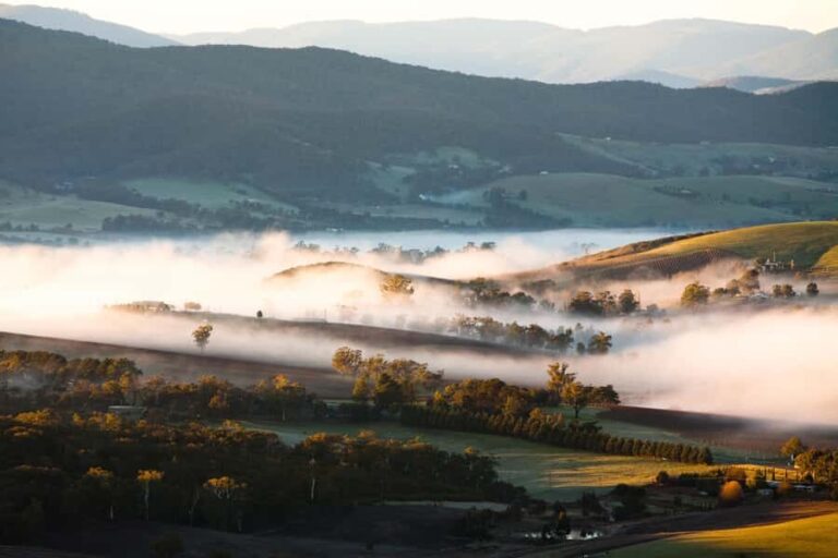 Experience Yarra Valley: A Tailored private Wine Journey - Why This Tour Offers Great Value