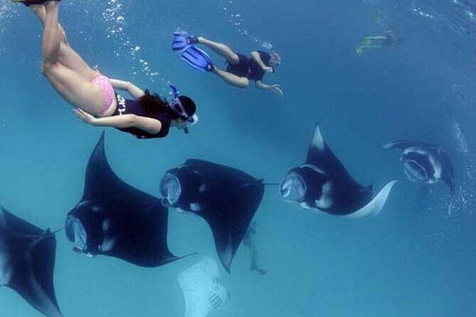 Explore 4 iconic snorkeling spots of Manta Bay in Nusa Penida - Final Thoughts: Who Is This Tour Best For?