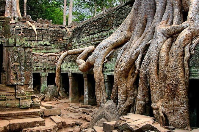 Explore Angkor Wat Sunset Watching Private Experience - Why This Tour Offers Value