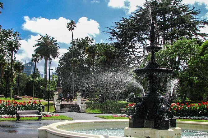 Explore Auckland: Self Guided Audio Tour - What It Means for You