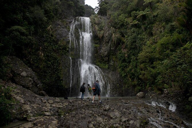 Explore BLACK SAND PIHA BEACH, and Water Falls in West Auckland - Who Will Love This Tour?