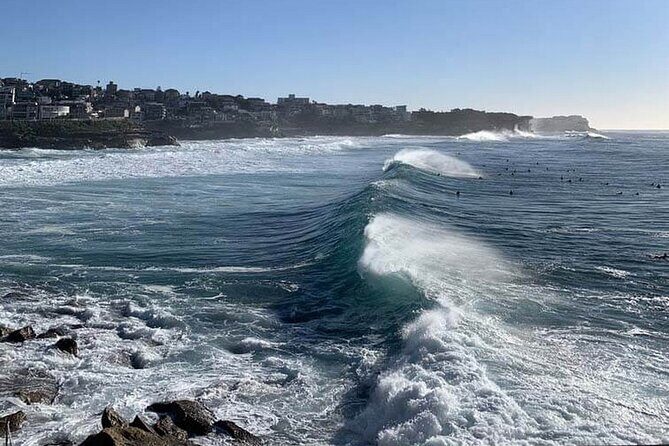 Explore Bondi Beach In A Series Of Cryptic Clues - What Makes This Tour Stand Out?