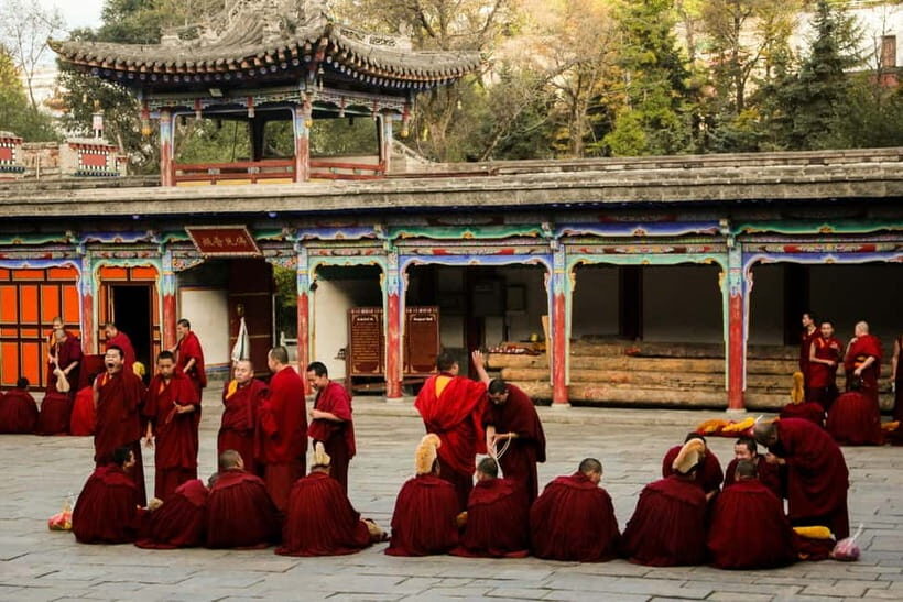 Explore Dharamshala's monasteries for Tibetan spirituality - Practical Details: What This Tour Offers and Why It Matters