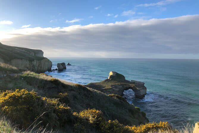 Explore Dunedin: Self-Guided Audio Tour Adventure - What Travelers Are Saying