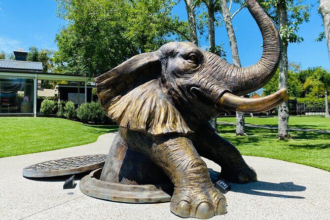 Explore gardens & galleries filled with incredible art, Matakana - Who Should Consider Visiting?