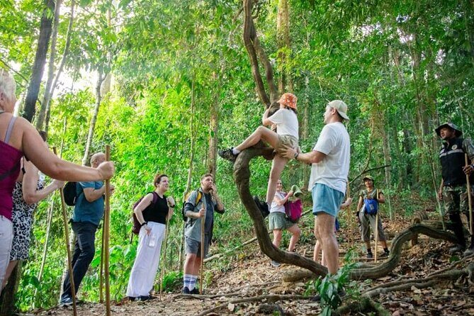Explore Khao Sok: Jungle Safari in Thailands Pristine Rainforest - Engaging with Nature: Jungle Hiking and Bamboo Rafting