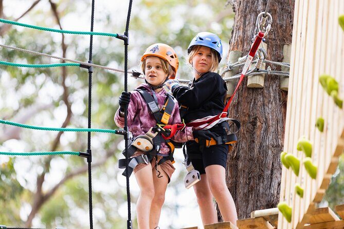 Explore Ourimbah State Forest Junior Tree Ropes Course - Final Thoughts: Is the Ourimbah State Forest Junior Tree Ropes Course Worth It?