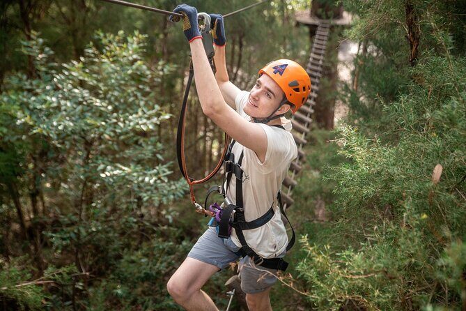 Explore Ourimbah State Forest Tree Ropes Course - Practical Tips for Visiting