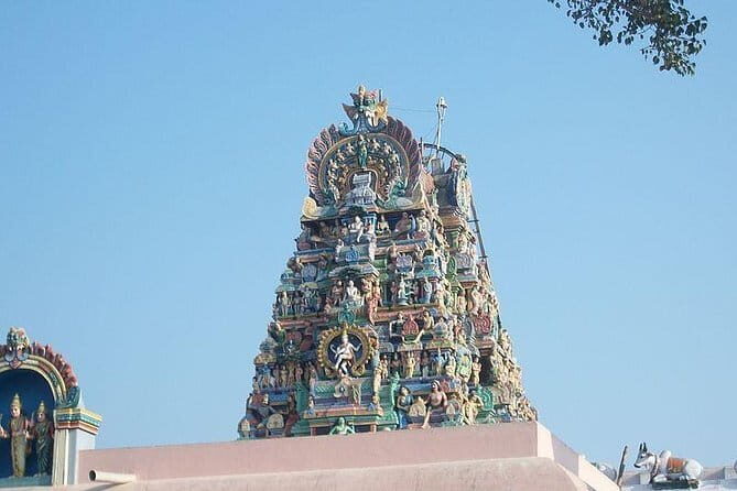 Explore Palani Murugan Temple From Coimbatore - Practical Details and What You’ll Appreciate