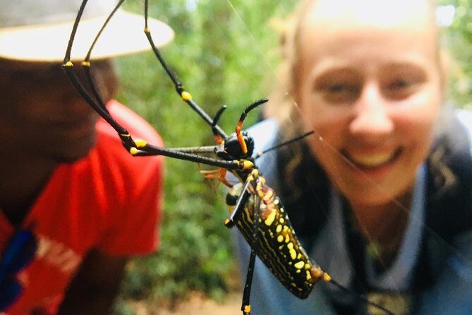 Explore Singharaja Forest Reserve (mirissa/weligama & Galle) - The Journey to Sinharaja