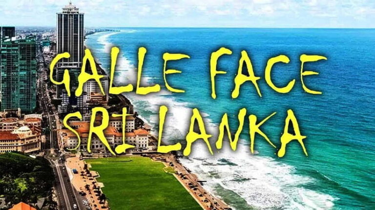 Explore Sri Lanka: One-Day City Tour with Colombo Highlights - Practical Details and What It Means for You