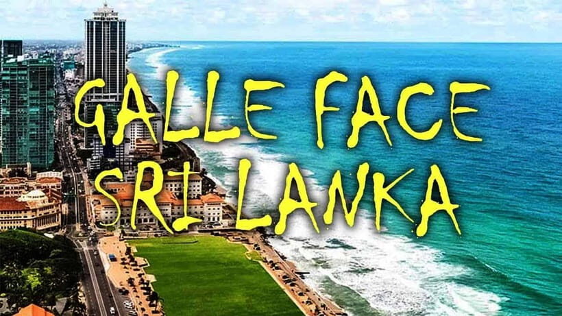 Explore Sri Lanka: One-Day City Tour with Colombo Highlights - Practical Details and What It Means for You