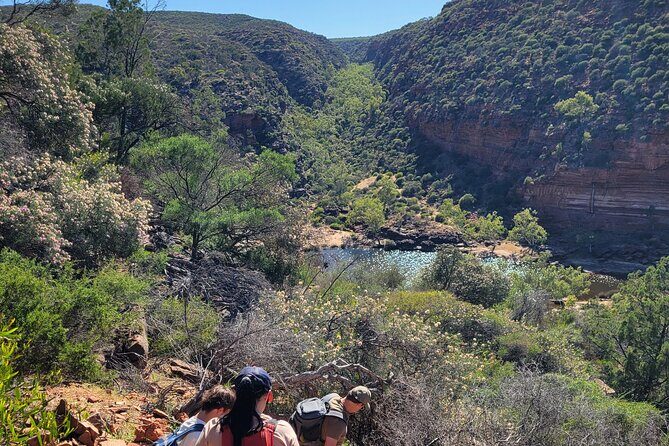 Explore the Hidden Gorges: Kalbarri 4WD, Hike, Canoe Experience - Who Should Consider This Tour?