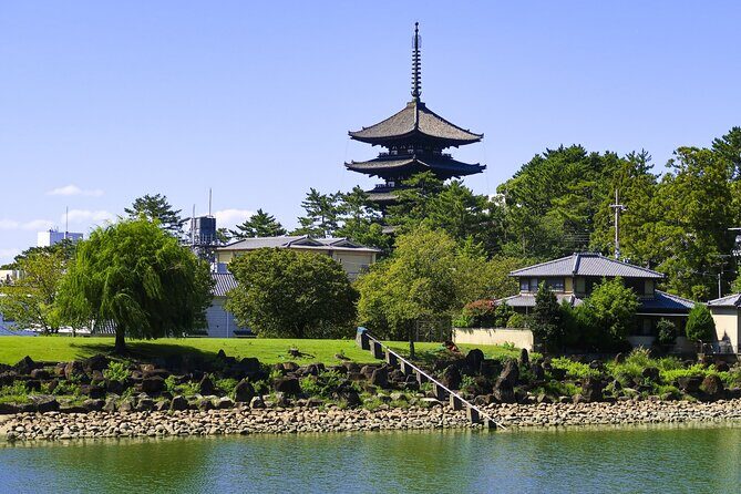 Explore the Timeless Heritage of Nara from Kyoto - What Makes This Tour Stand Out?