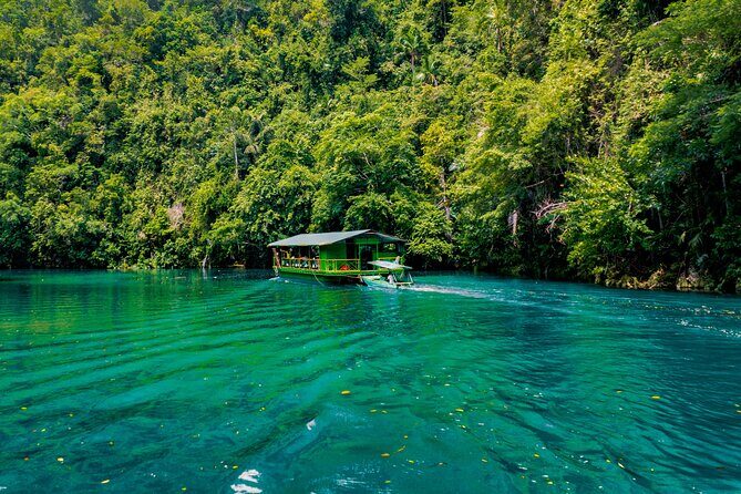Famous Bohol Chocolate Hills Loboc River Cruise Tarsier Tour - The Practicalities: Transport, Price, and Experience