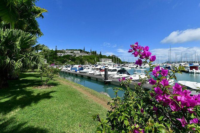 FAMOUS Local Green Train Noumea (01h30) - Authentic Traveler Perspectives