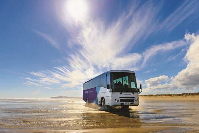 Far North New Zealand Tour Including 90 Mile Beach and Cape Reinga from Paihia - The Experience and Itinerary Breakdown