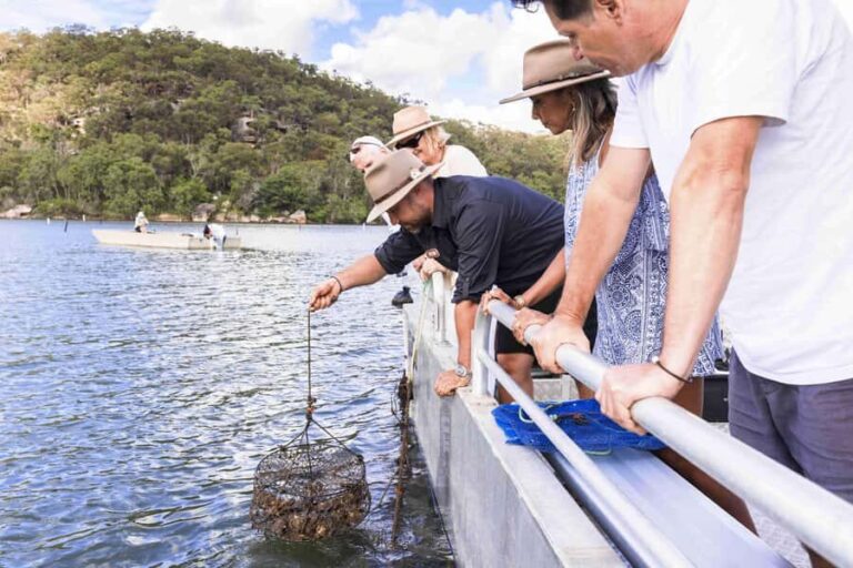 Farm to Plate - Sydney's Oyster Heartland - Detailed Breakdown of the Itinerary