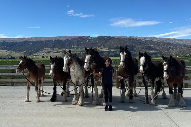 Farm & Wine Experience Fun Experience from Queenstown New Zealand - Who Should Consider This Tour?