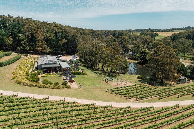 Farmer's Lunch - Food and Wine for 2 adults - Who Will Love This Experience?