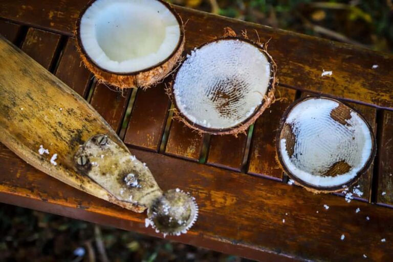 Fiji: Farm Tour: Animals, Honey Tasting & Fijian Cooking - What to Expect from Your Fiji Farm Tour