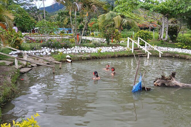 FIJI Official Tifajek MudPool & Hotspring Entry Fee Tickets Only - What Travelers Say and What They Value