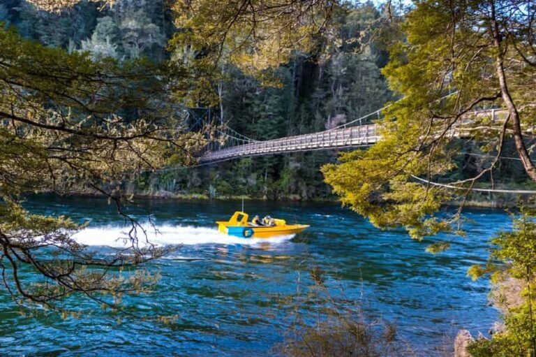 Fiordland: Jet Boat & Nature Walk Experience from Te Anau - The Experience: Why It Stands Out