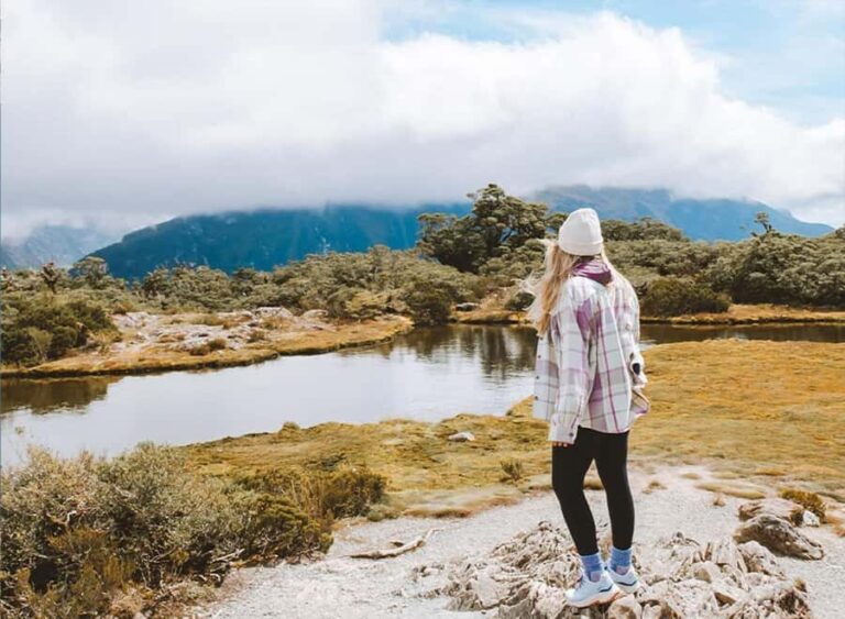 Fiordland: Routeburn Track and Key Summit Guided Day Walk - What You Can Expect: From Drive to Summit