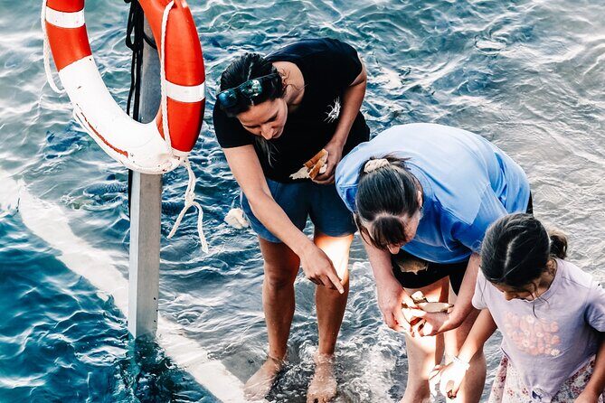 Fish Feeding Activity in Darwin - Whats Included and Whats Not?
