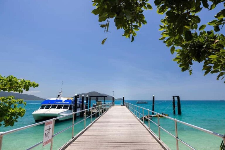 Fitzroy Island: Full-Day Ferry & Snorkel Safari Guided Tour - Final Thoughts: Is It Worth It?