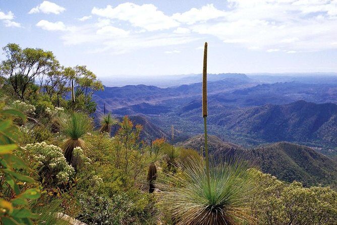 Flinders Ranges 5-Day Small Group 4WD Eco Tour from Adelaide - Who Should Consider This Tour?