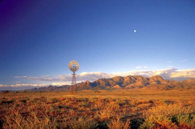 Flinders Ranges & Outback: 5-Day 4WD Tour from Adelaide - What Reviewers Say
