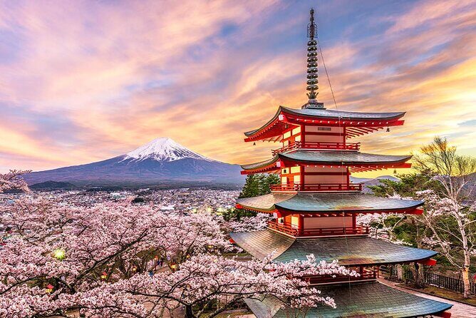 Flower Viewing at Kawaguchiko & Mt. Fuji Day Tour with Kusa Mochi - FAQs