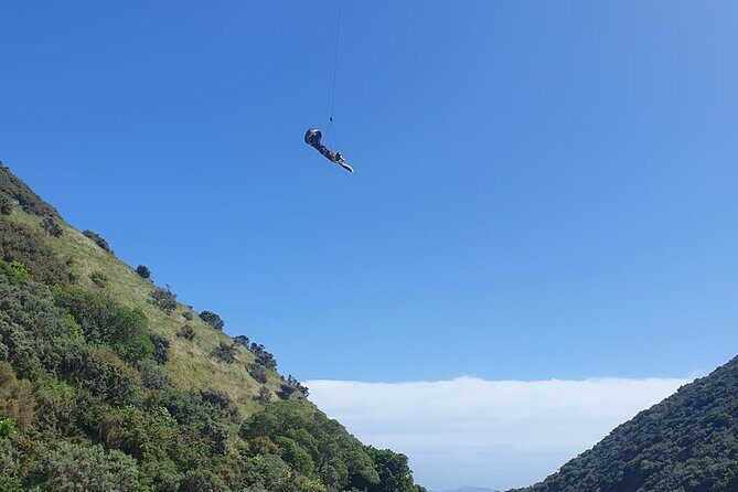 Fly By Wire New Zealand - Final Thoughts: Is Fly By Wire Worth It?