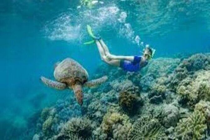 Fly in and Fly out Great Barrier Reef Cairns Day Tour - The Sum Up: Who Is This Tour Best For?