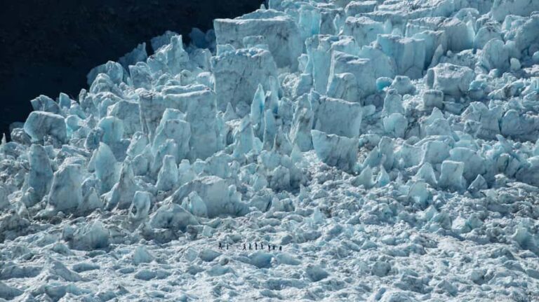 Franz Josef: Glacier Ice Climb experience with Heli Transfer - The Itinerary Breakdown
