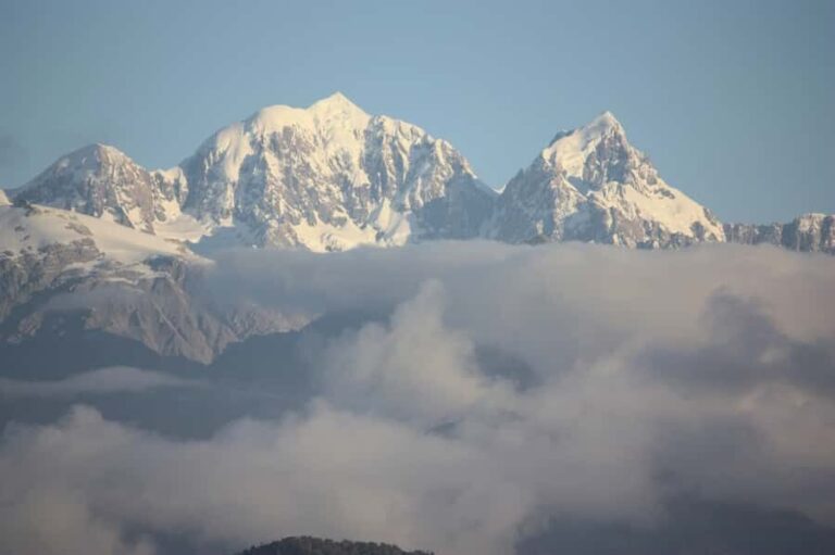 Franz Josef: Half-Day Guided Tour to Okarito - What to Expect on the Tour