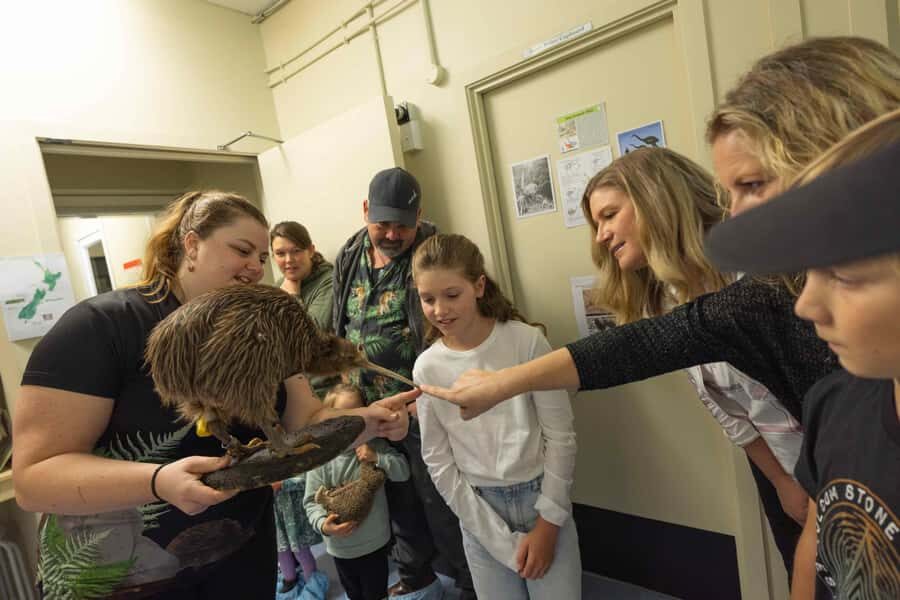 Franz Josef: Kiwi VIP Backstage Pass Tour -Booking Essential - The Balance of Value and Experience