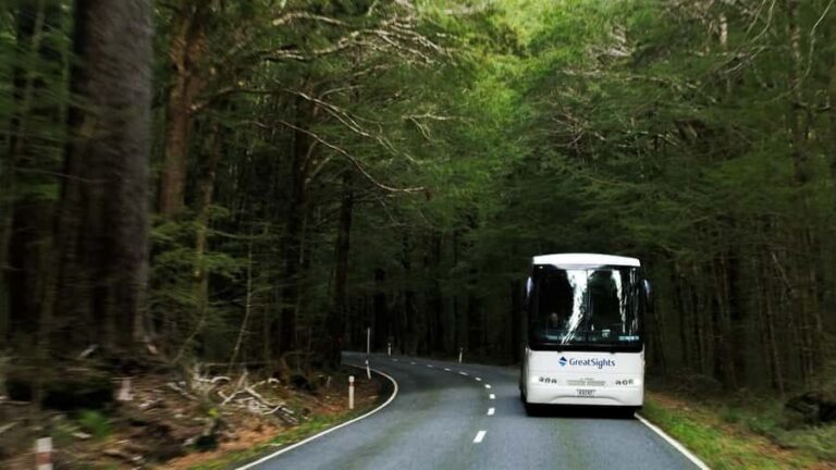 Franz Josef to Queenstown Day Tour - Arrival in Queenstown and What to Do Next