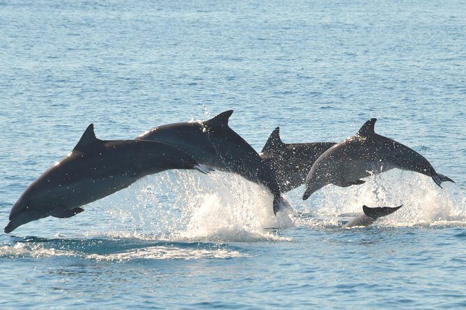 Fraser Island & Dolphin Sailing Adventure - Final Thoughts