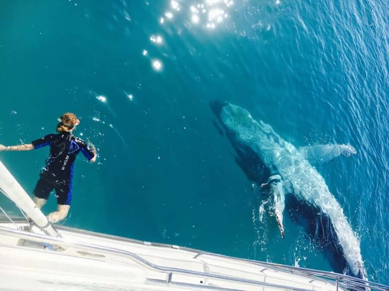 Fraser Island (K'gari): Remote Island and Whale Experience - An Adventure That Combines Wildlife and Wilderness