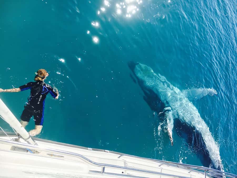 Fraser Island (K'gari): Remote Island and Whale Experience - An Adventure That Combines Wildlife and Wilderness