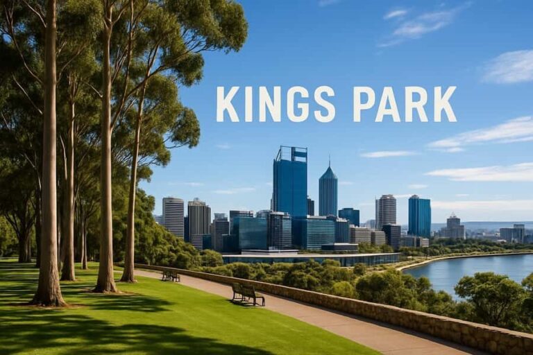 Fremantle: Perth and Fremantle Highlights Tour for Cruises - What to Expect From Each Stop